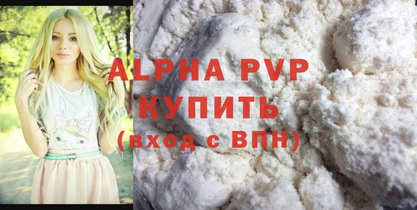 мдпв Рославль