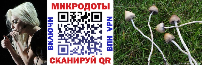 Галлюциногенные грибы Magic Shrooms наркота Елабуга